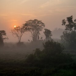 sunrise train journey to Habarana sunrise train journey to Habarana